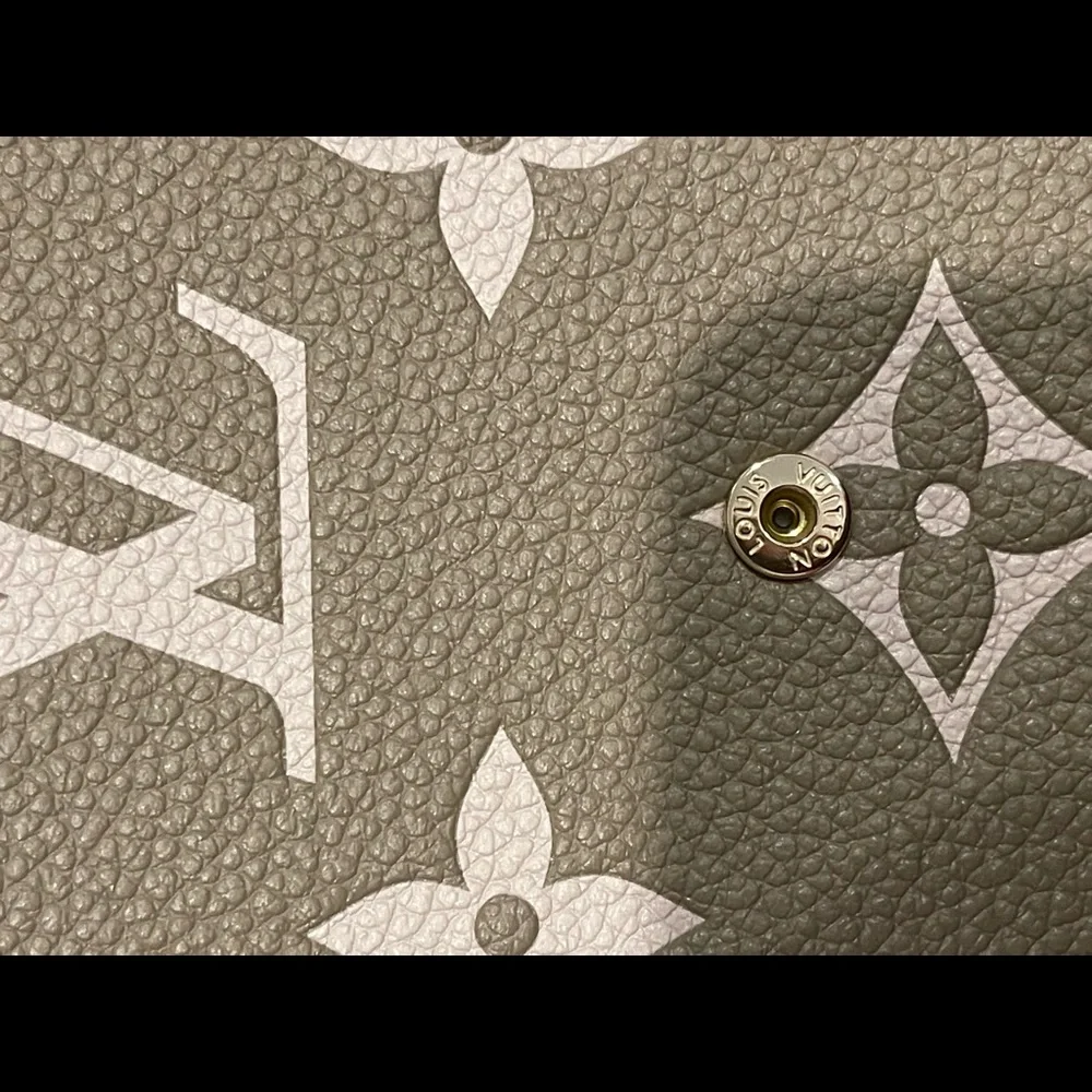 Louis Vuitton Taupe Bicolor Felicie - Picture 7 of 13